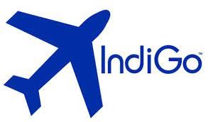 indigo logo