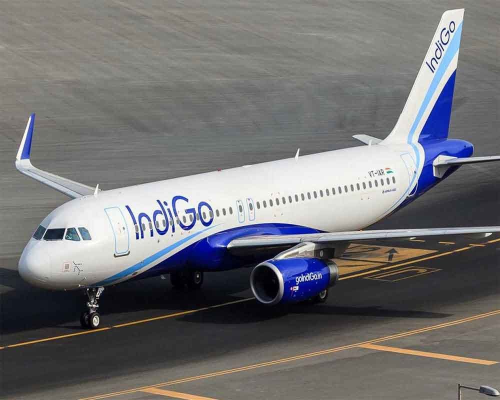 Indigo PNR status